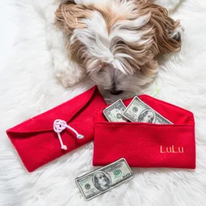 DOGNMAT LUCKY MONEY利是狗狗嗅聞玩具