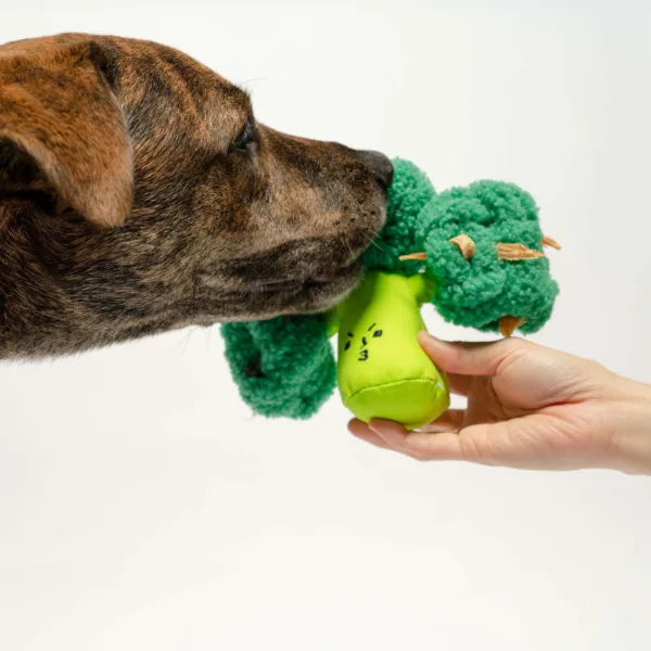 the furry folks nosework dog toys - broccoli