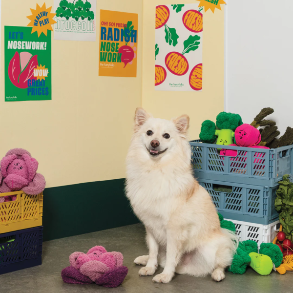 the furry folks nosework dog toys - Red Cabbage