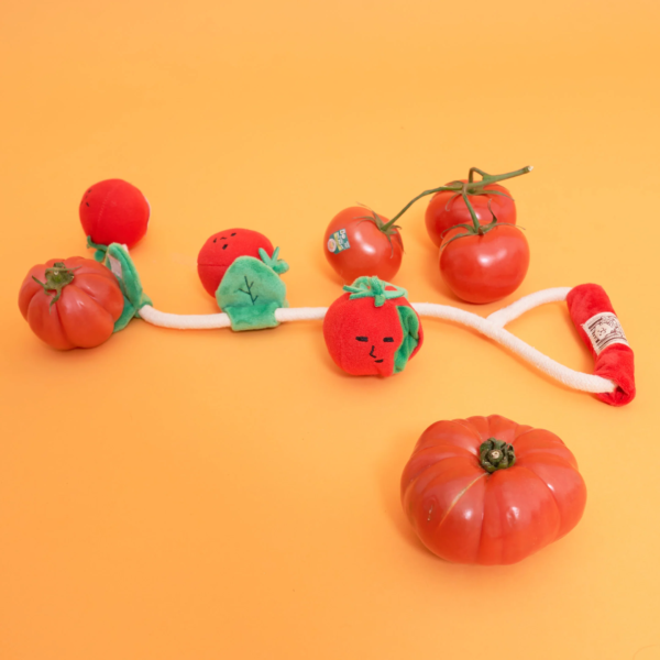 The Furry Folks Nosework Dog Toys - Tug Tomatos