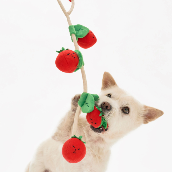 The Furry Folks Nosework Dog Toys - Tug Tomatos