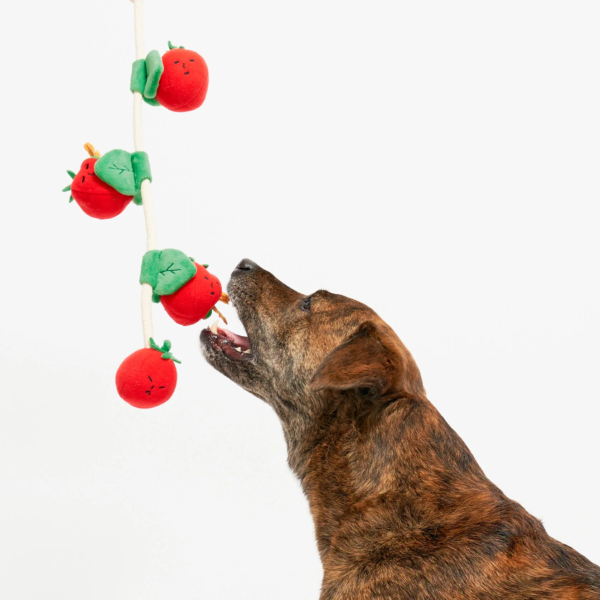 The Furry Folks Nosework Dog Toys - Tug Tomatos