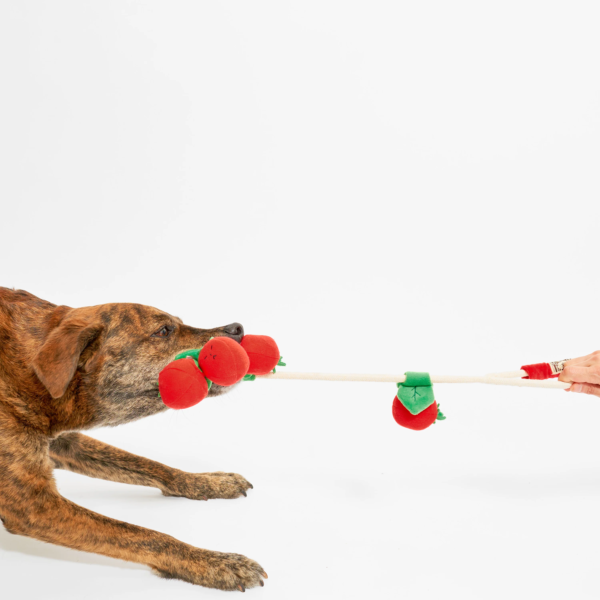 The Furry Folks Nosework Dog Toys - Tug Tomatos