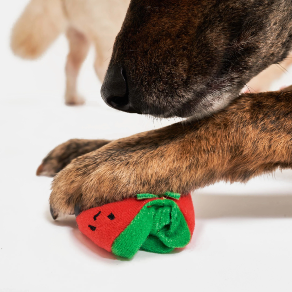 The Furry Folks Nosework Dog Toys - Tug Tomatos