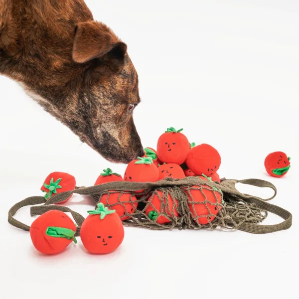 The Furry Folks Nosework Dog Toys - Tug Tomatos