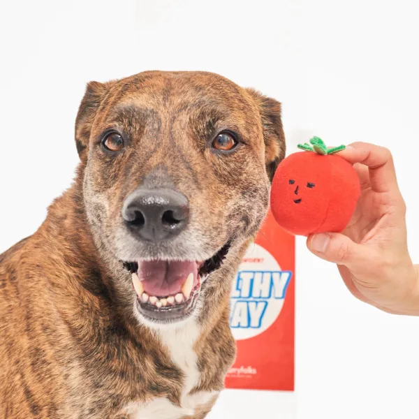 The Furry Folks Nosework Dog Toys - Tug Tomatos