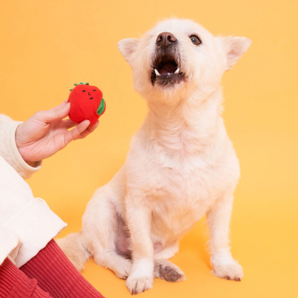 The Furry Folks Nosework Dog Toys - Tug Tomatos