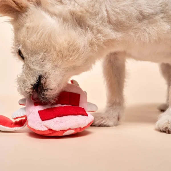 The Furry Folks Nosework DogToys- Uncle Crab