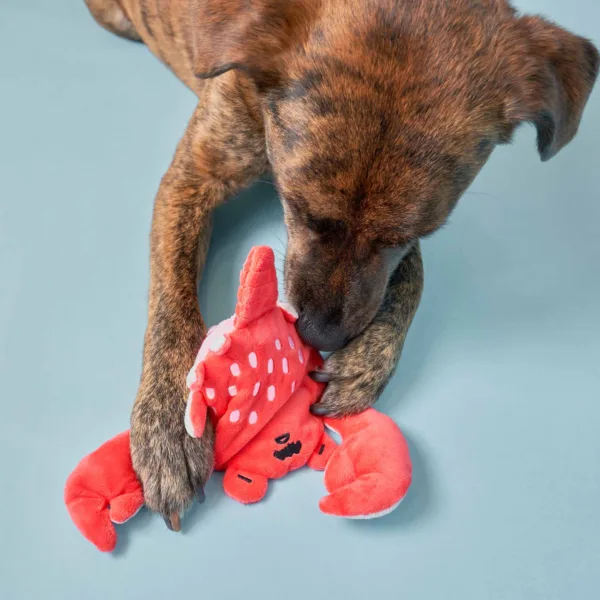 The Furry Folks Nosework DogToys- Uncle Crab