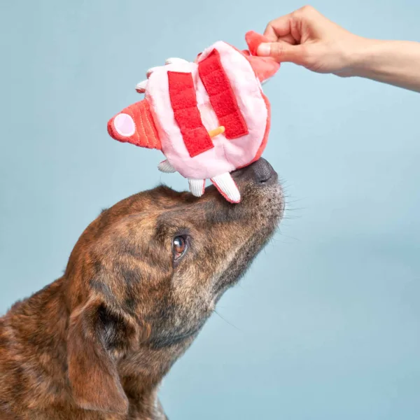 The Furry Folks Nosework DogToys- Uncle Crab